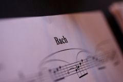 Bach kotta - Fotózta: Dákai Andrea
